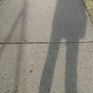 Meet your Posher, Samanta